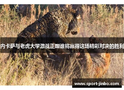 内卡萨与老虎大学激战正酣谁将赢得这场精彩对决的胜利